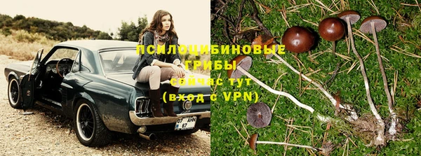 apvp Абинск