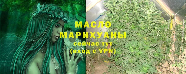 дмт Алексин