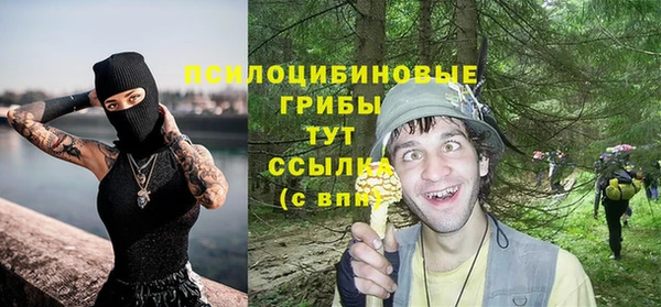 дмт Алексеевка