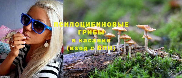 дмт Алексеевка