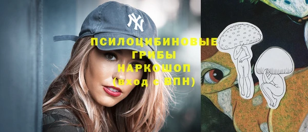 дмт Алексин